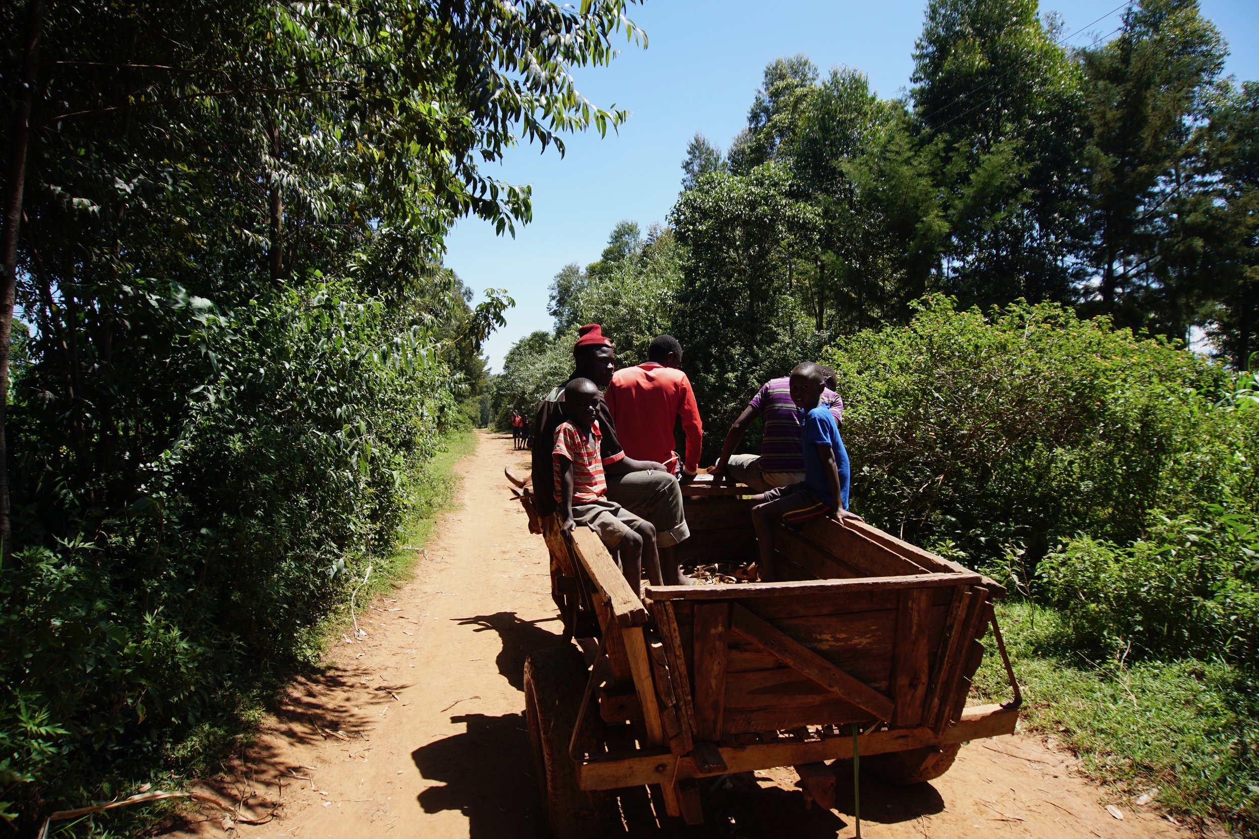  Some members of the community owned carts that their mules would pull around. Some of HIPs students would be brought to school in one while their parents were on their way to work. 