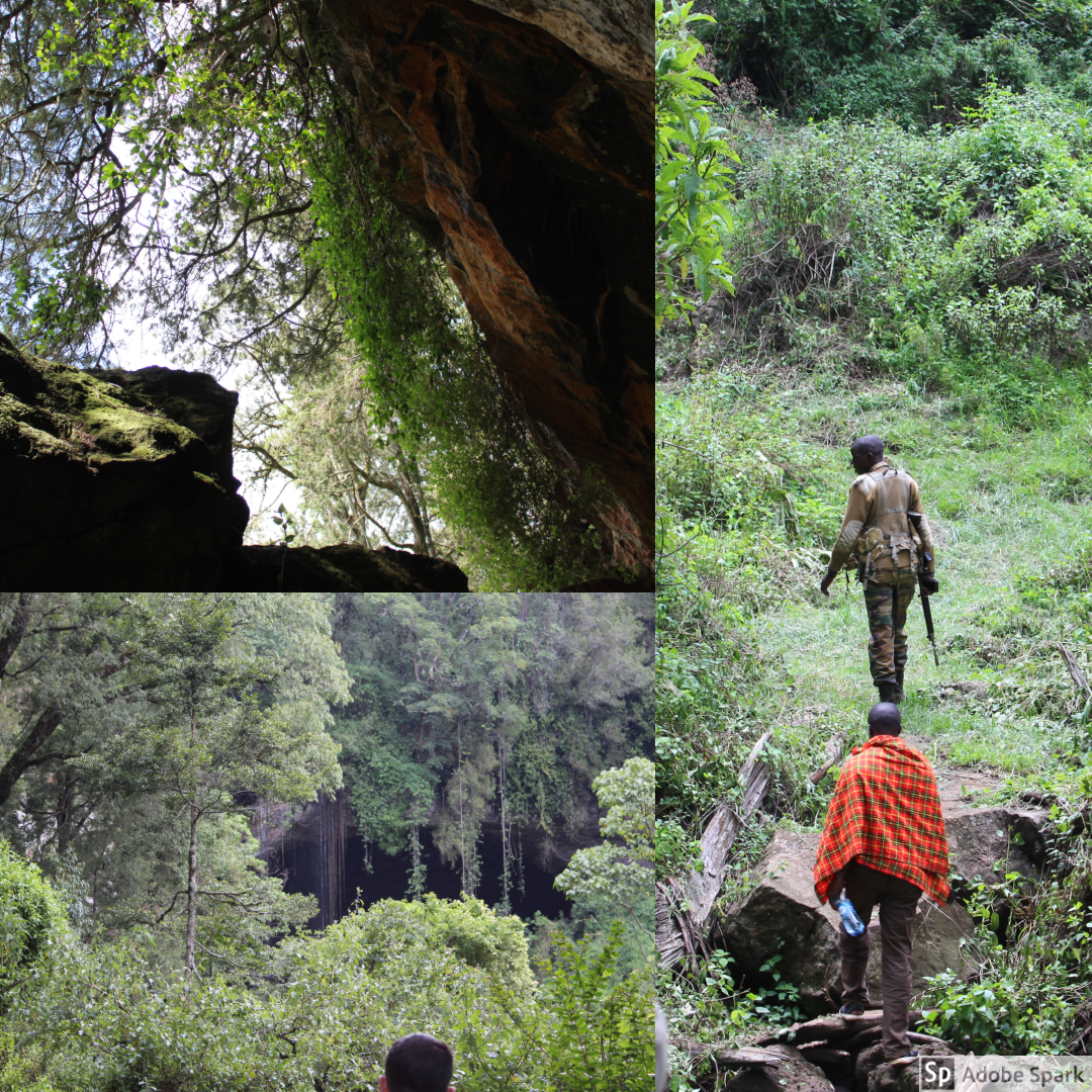 Leading the group was one of the armed guard. The guards were there both to protect the animals as well as us. The further along the trail we got, the denser the foliage became.