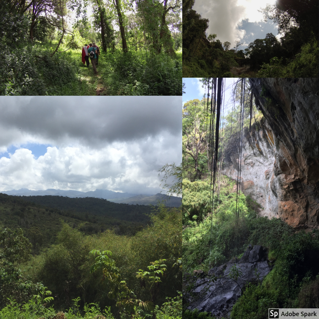 More pictures from the hike at Mt. Elgon. You can see the storm starting to roll in.