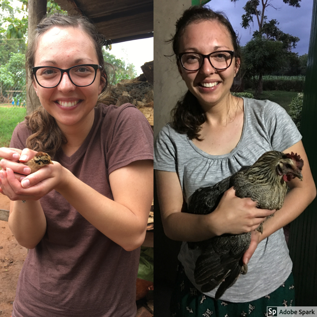 Chickens and chicks would often walk into classrooms and homes, and Natalie was always excited when this went down.