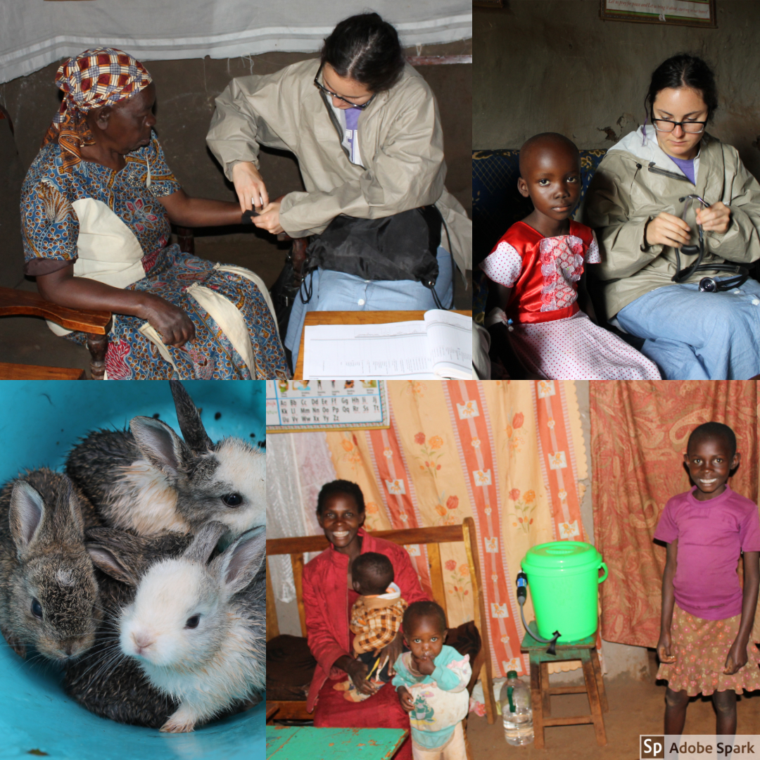 During her home expeditions, one of the homes was housing baby bunnies.