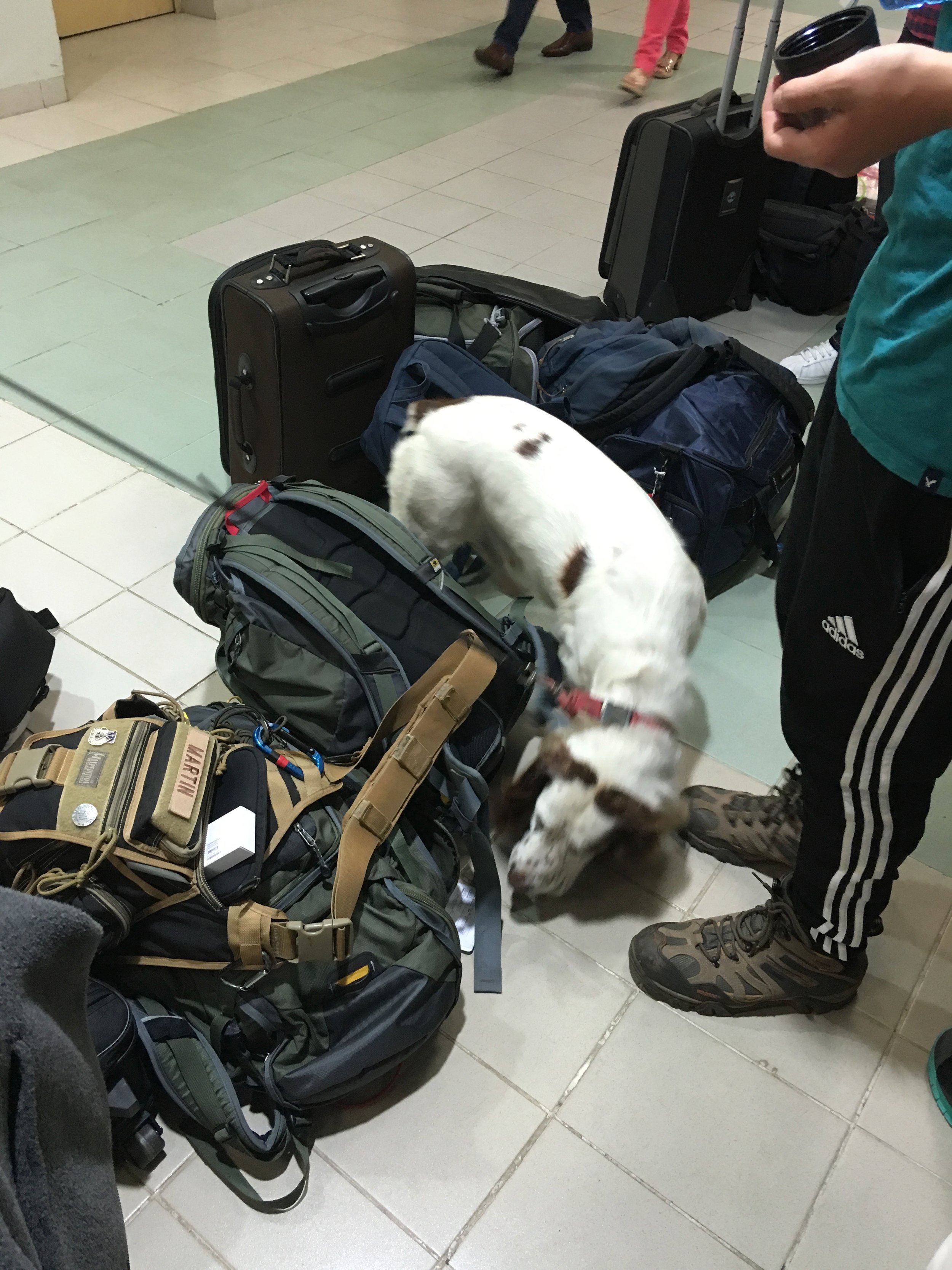  Security at the airports is a really big deal. On our way to the airport, we had to get out of our van while the van got searched. Once we got to the airport, we had to go through security, and then all our bags were sniffed by dogs. 