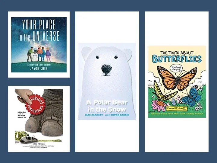 Add These Teacher Tested Kid Approved Texts to Your Nonfiction Collections!  #IMWAYR  #Booklove