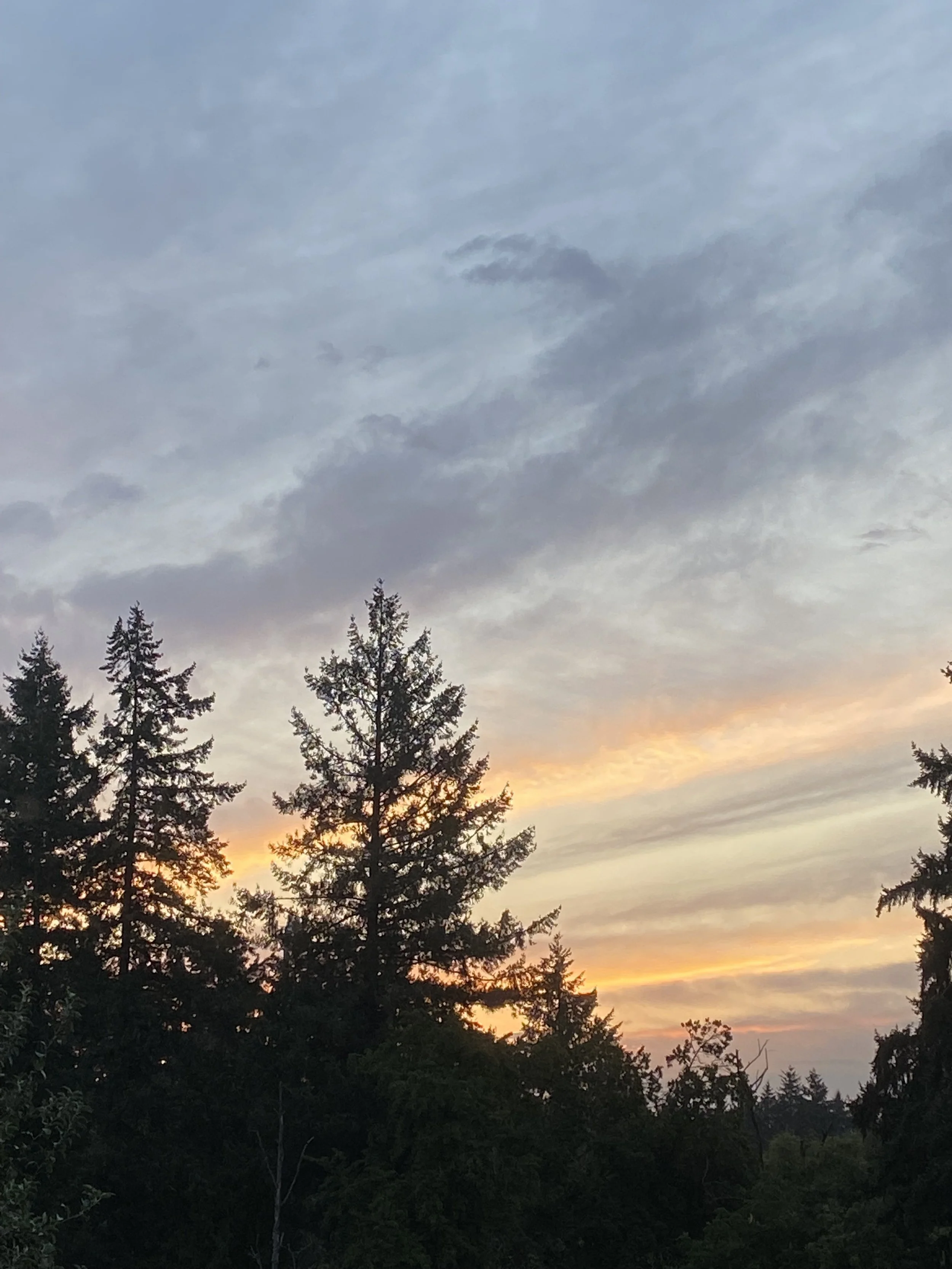IMG_7223.jpeg