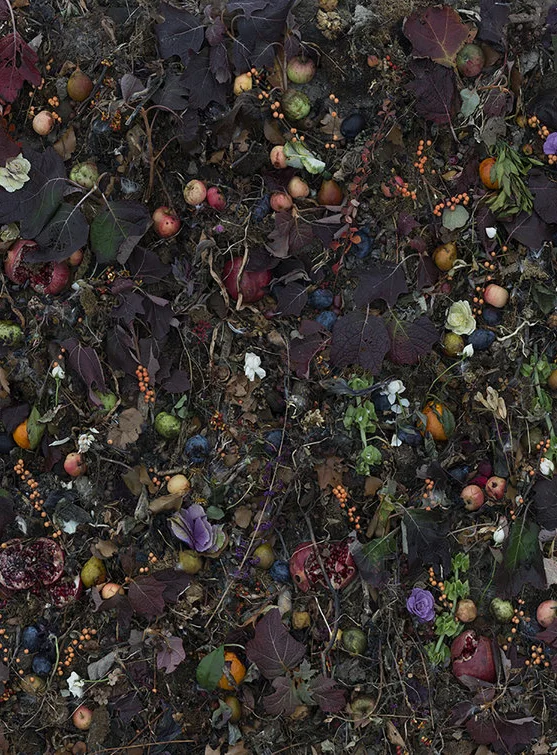 © Tanya Marcuse, Detail, Woven No 16 Featured Photographer LightField Festival 2019 / Photo + Synthesis