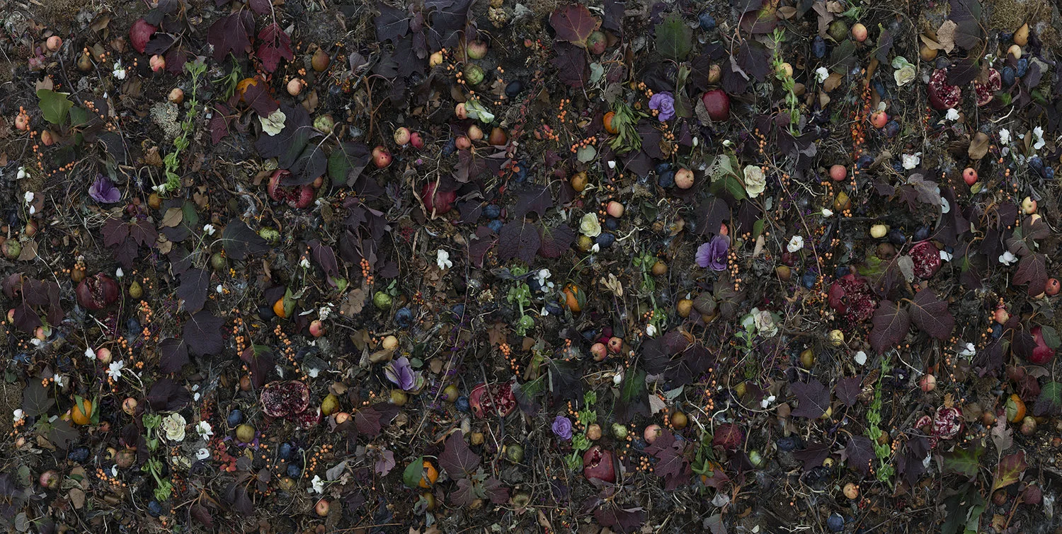 © Tanya Marcuse, Woven No 16