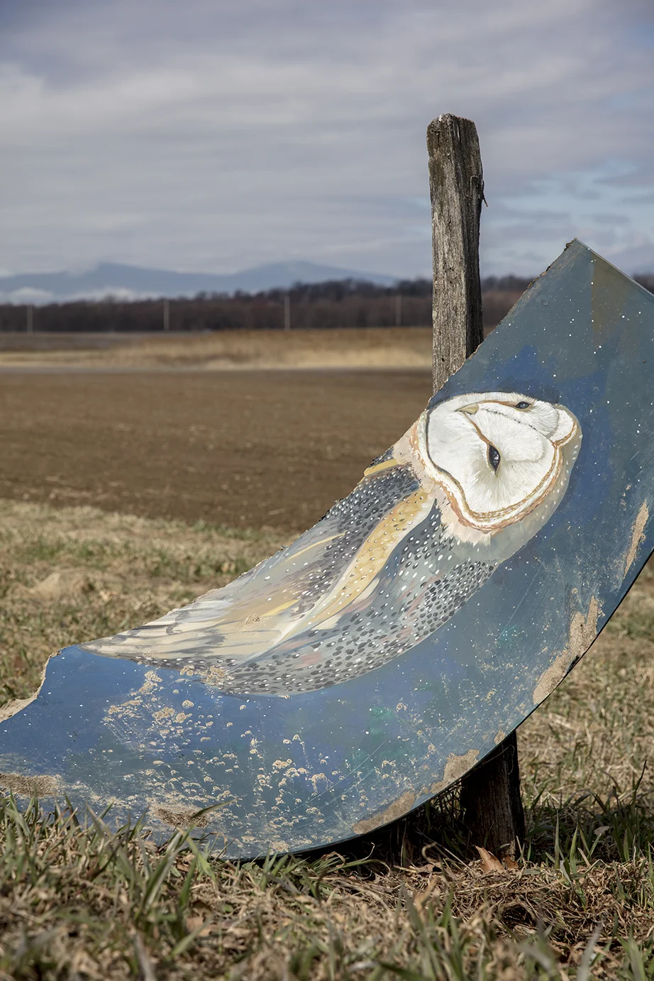 © Tim Davis, Owl Sign, Upstate Event Horizon Featured Photographer LightField Festival 2019 | Photo + Synthesis