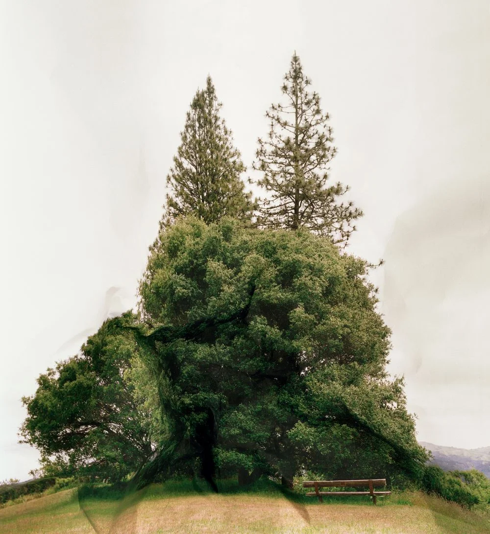 © Laura Plageman, Response to Print of Inspiration Point, California, 2011 Commissioned Photographer LightField Festival 2019 | Photo + Synthesis