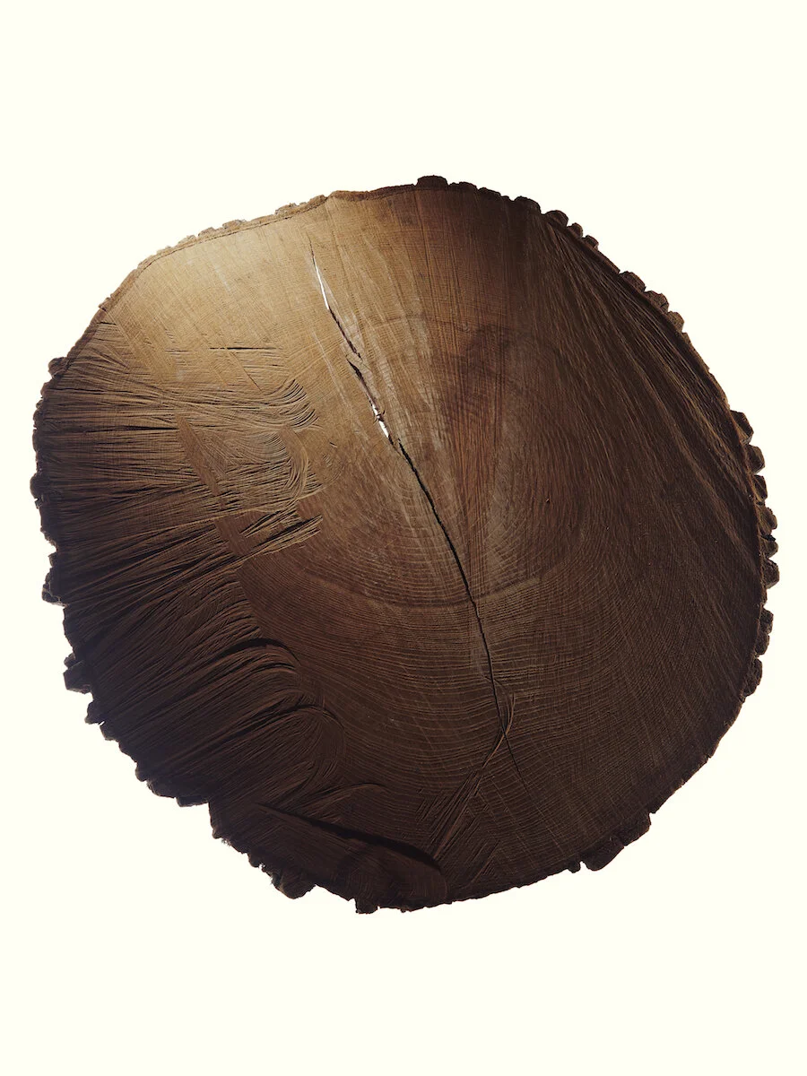 Tree Rings at Lamont, II