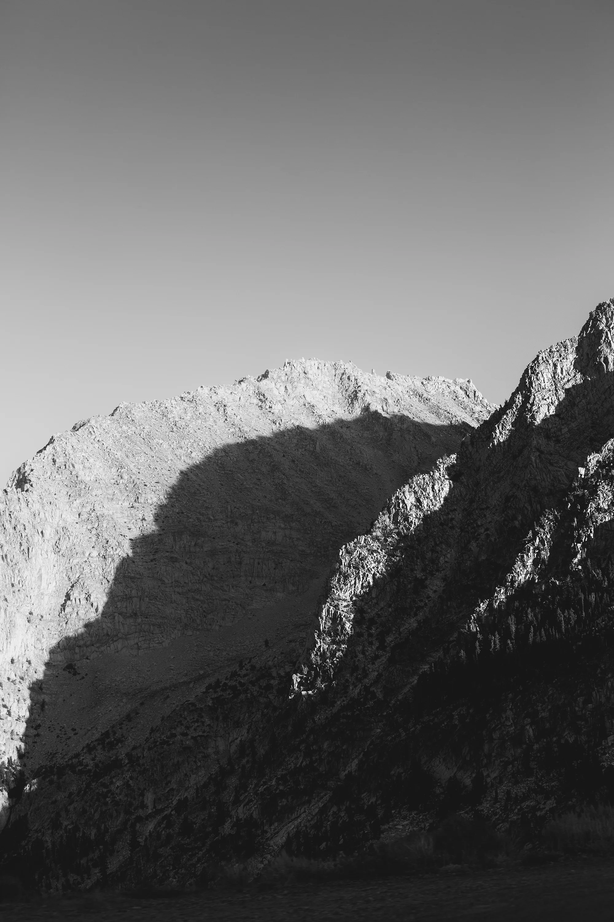 FZ7A4083web.jpg