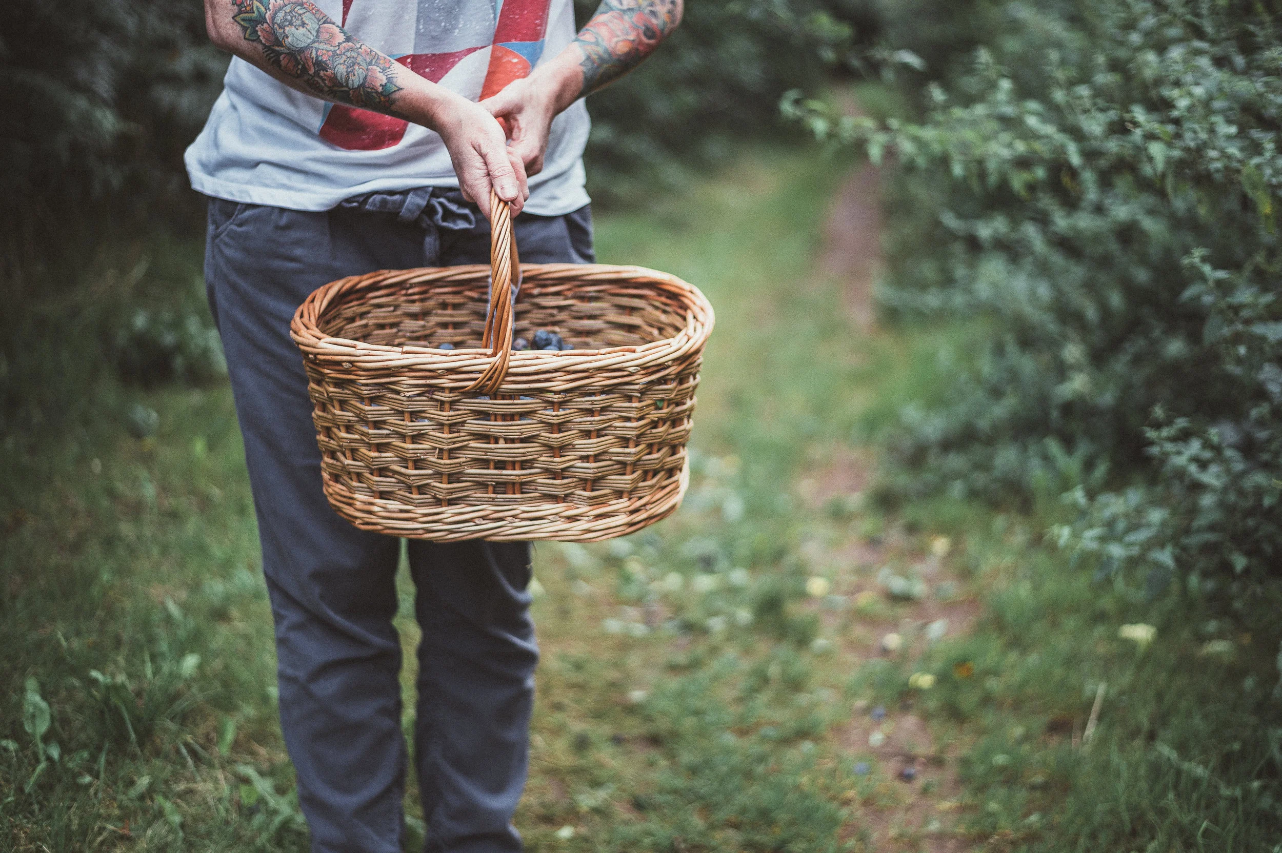 What's in Your Basket?