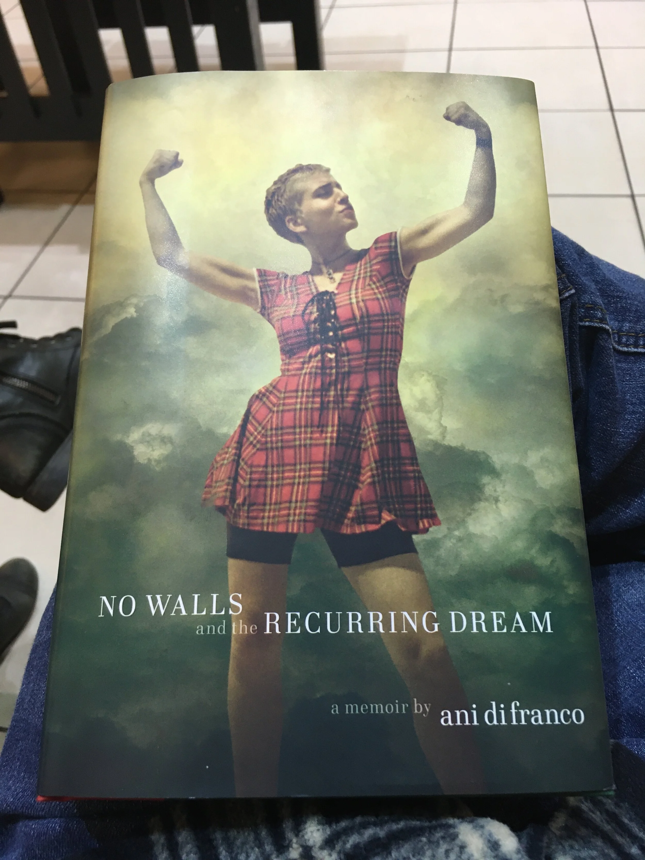 Ani DiFranco’s No Walls and the Recurring Dream