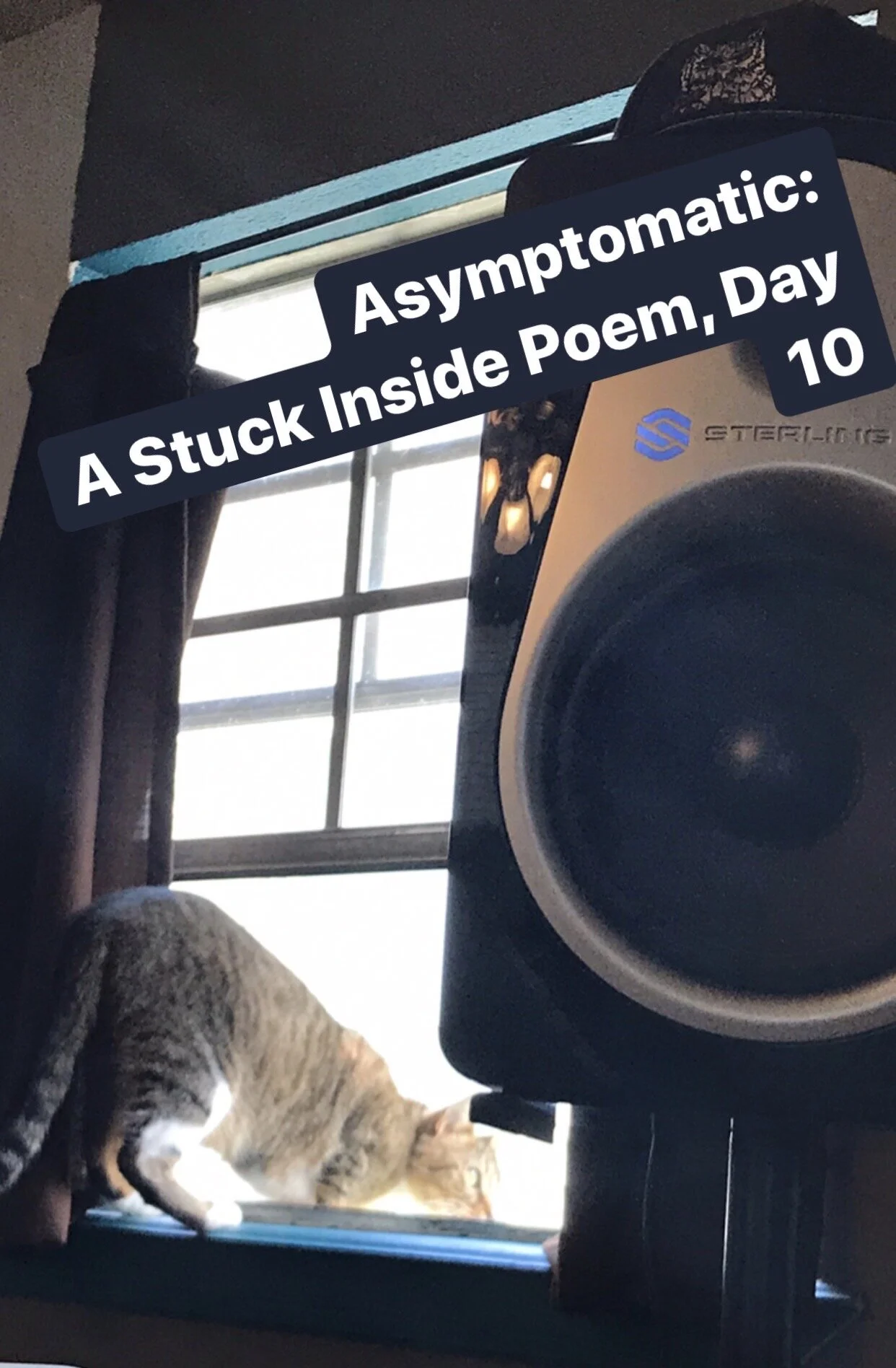 Asymptomatic: A Stuck Inside Poem, Day 10 