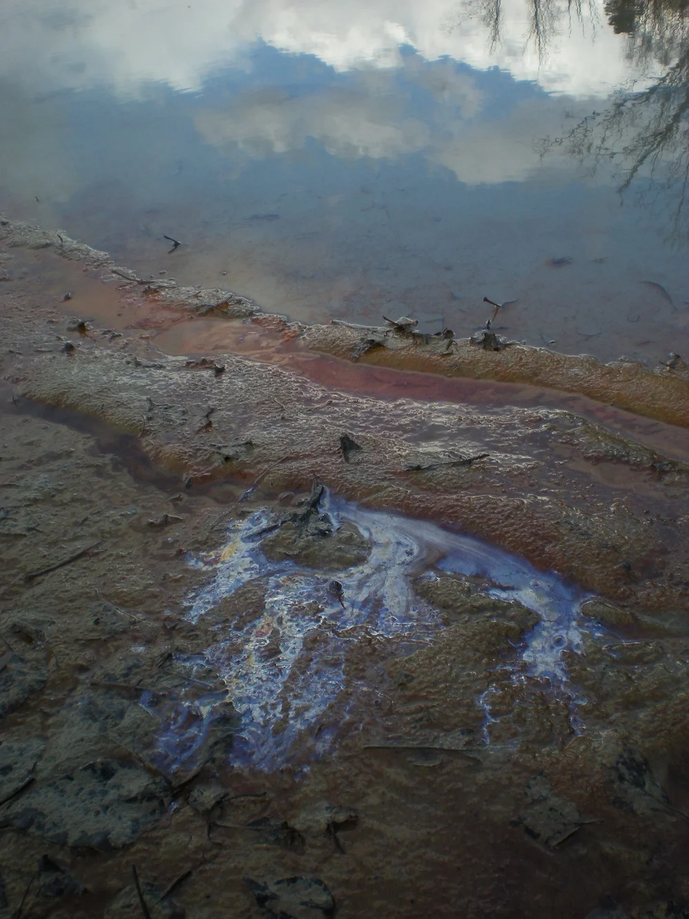 Wild River Study