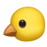 BIRD.png