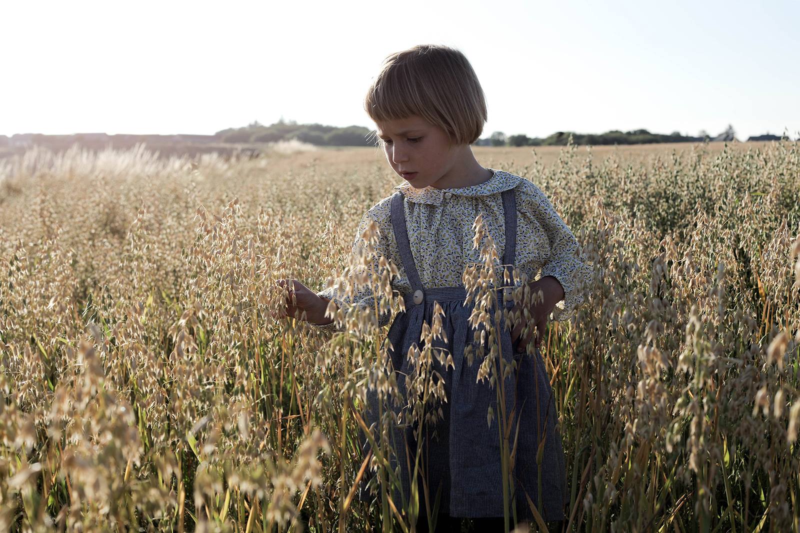 soor ploom.jpg