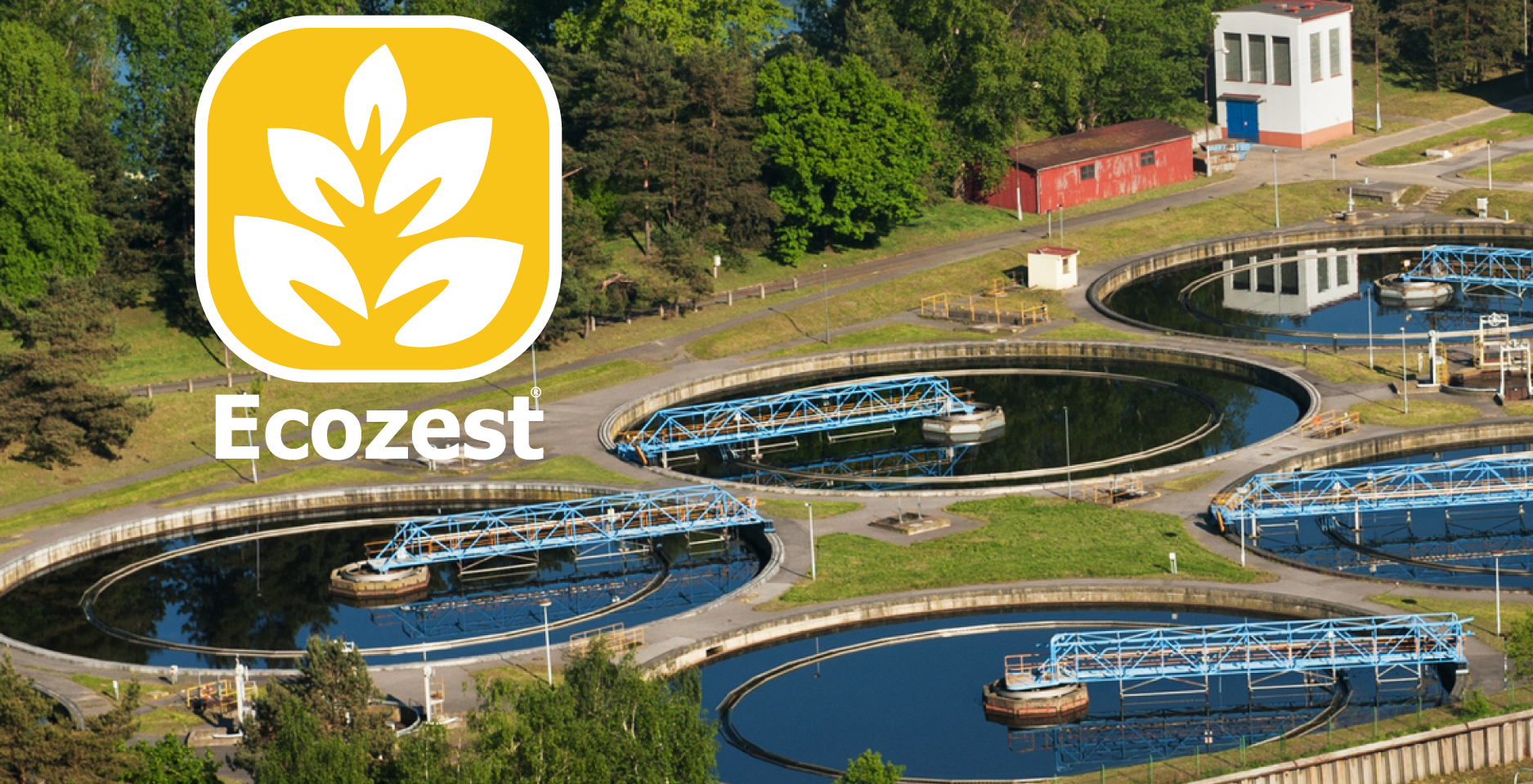 Ecozest for wastewater treatment and bioremediation