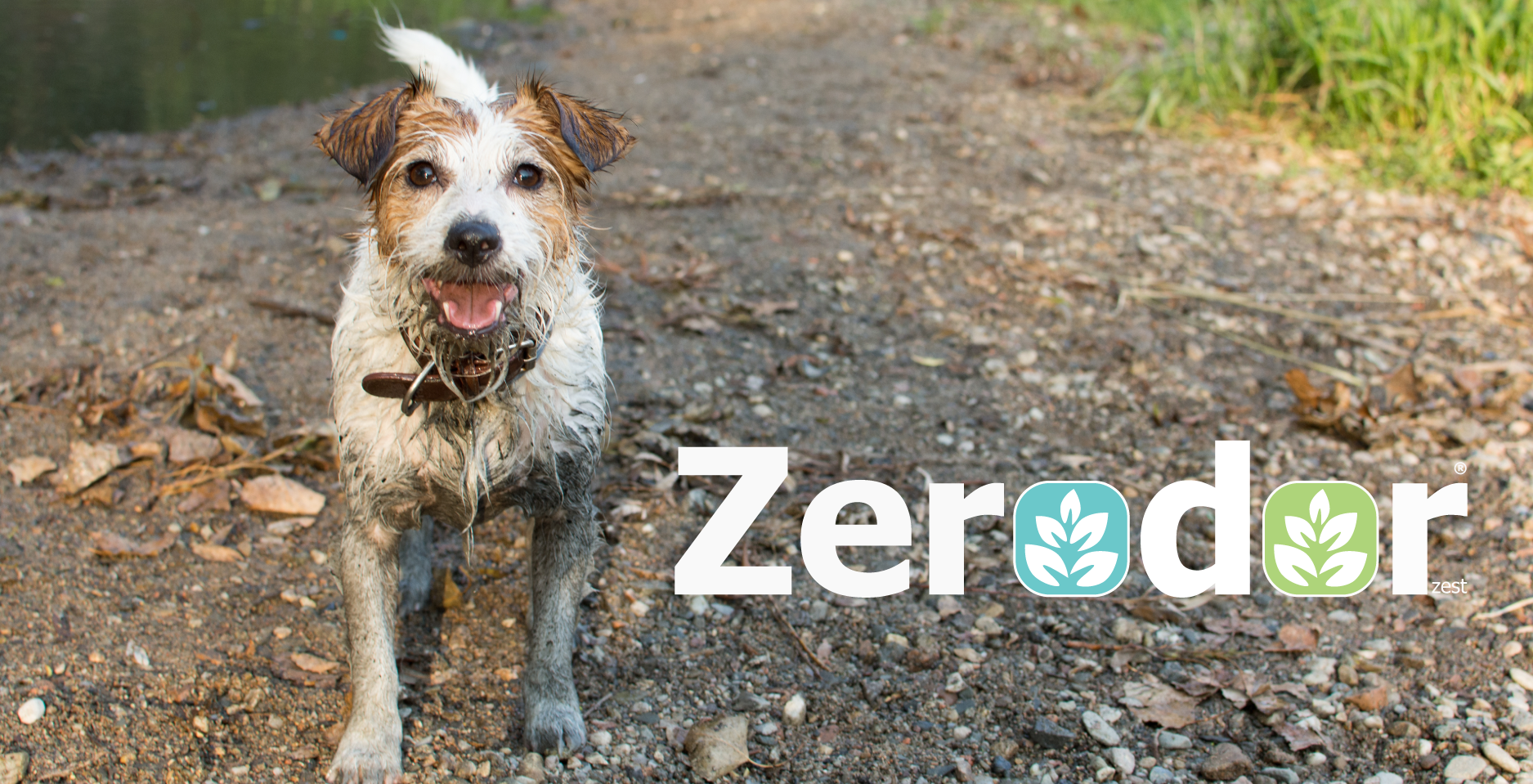 Zerodor-banner.png