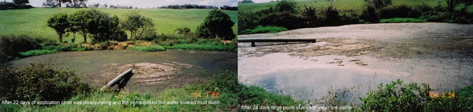 ecozest-sludge-reduction-in-farm-ponds.jpg