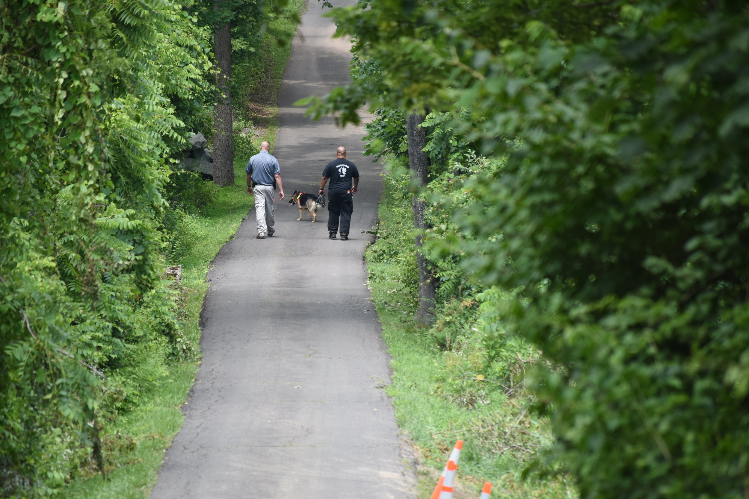  A German shepherd from the Philadelphia Police Department K-9 unit is brought in to aid in the search for four missing Bucks County men on a Solebury property owned by the family of Cosmo DiNardo on Tuesday, July 11, 2017.   