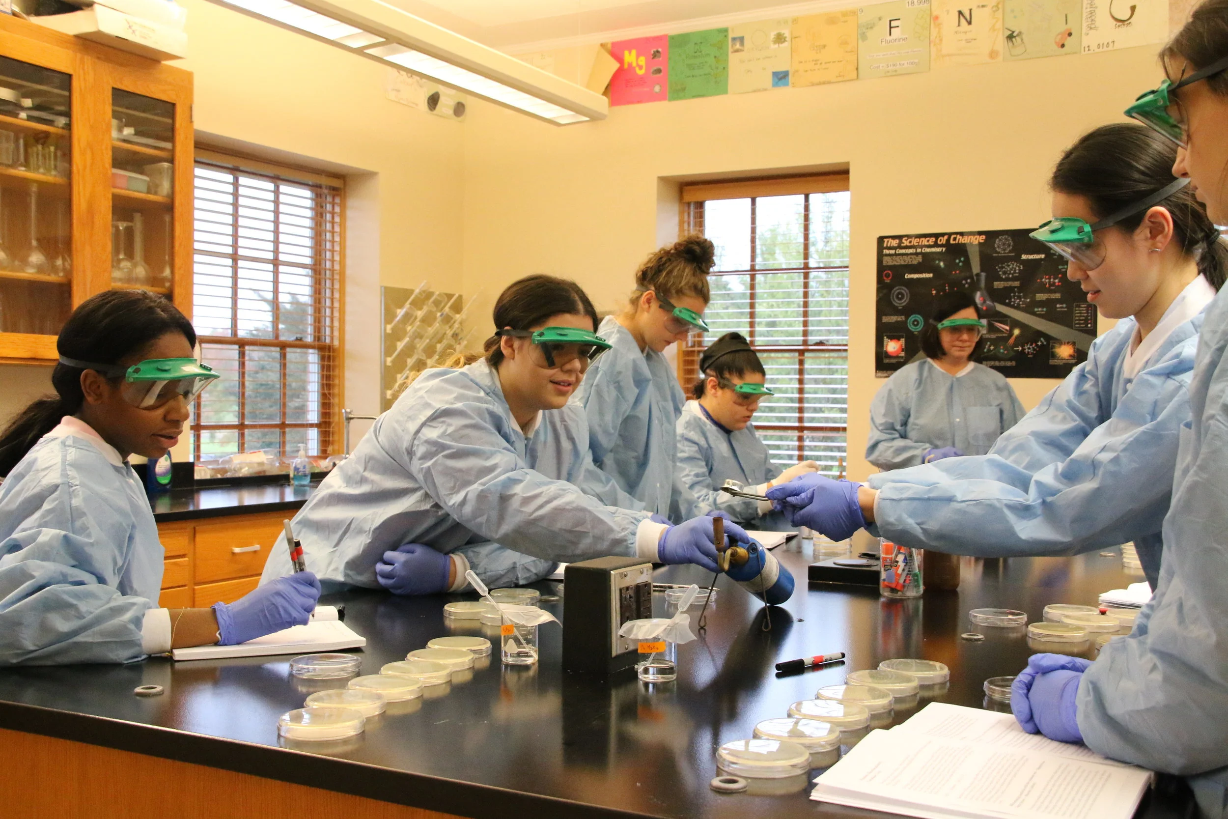 Local Biochemistry Students Dig Deep in Fight Against Antibiotic Resistant  Bacteria