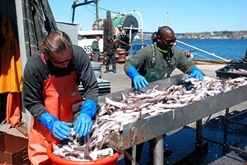 commercialfishing_now.jpg