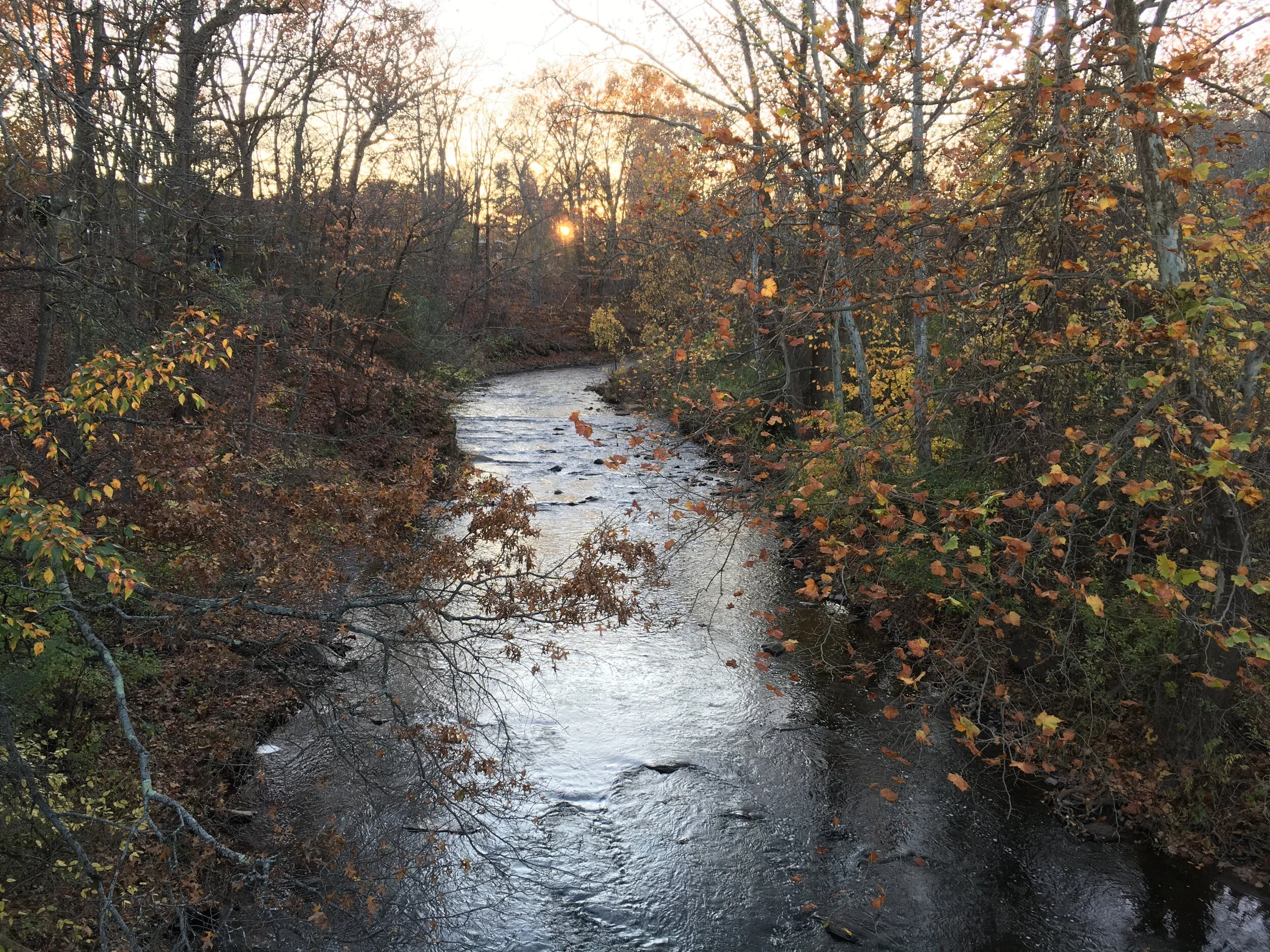 Nonprofits: How to Handle a Bully