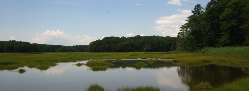 Connecticut’s Only National Wildlife Refuge is Ready for You