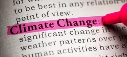 Climate Emergency Resolutions: Younger Generation Demands More from Adults
