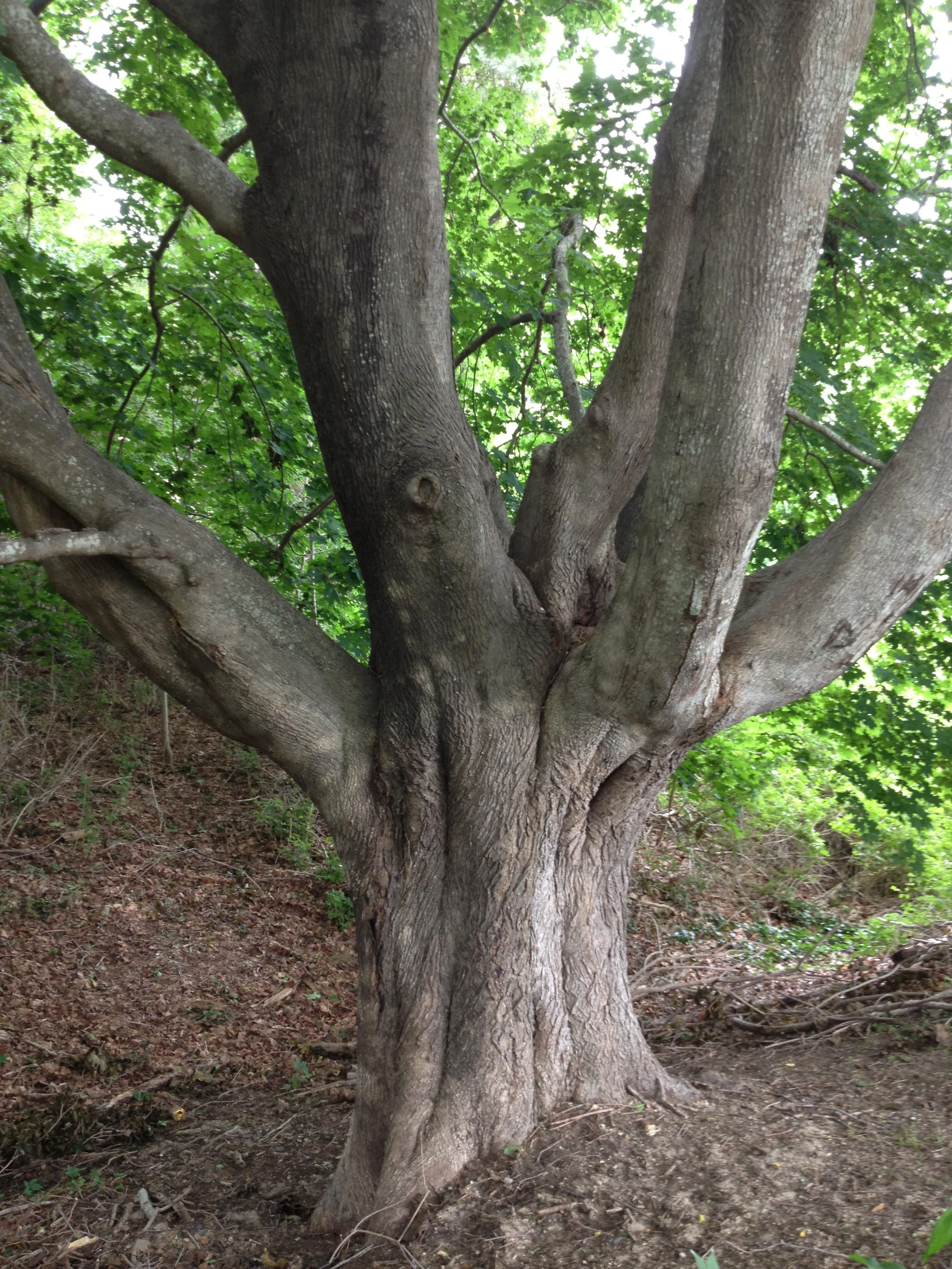 Best States to Live In:  Connecticut Ranks #26, Analysis Shows