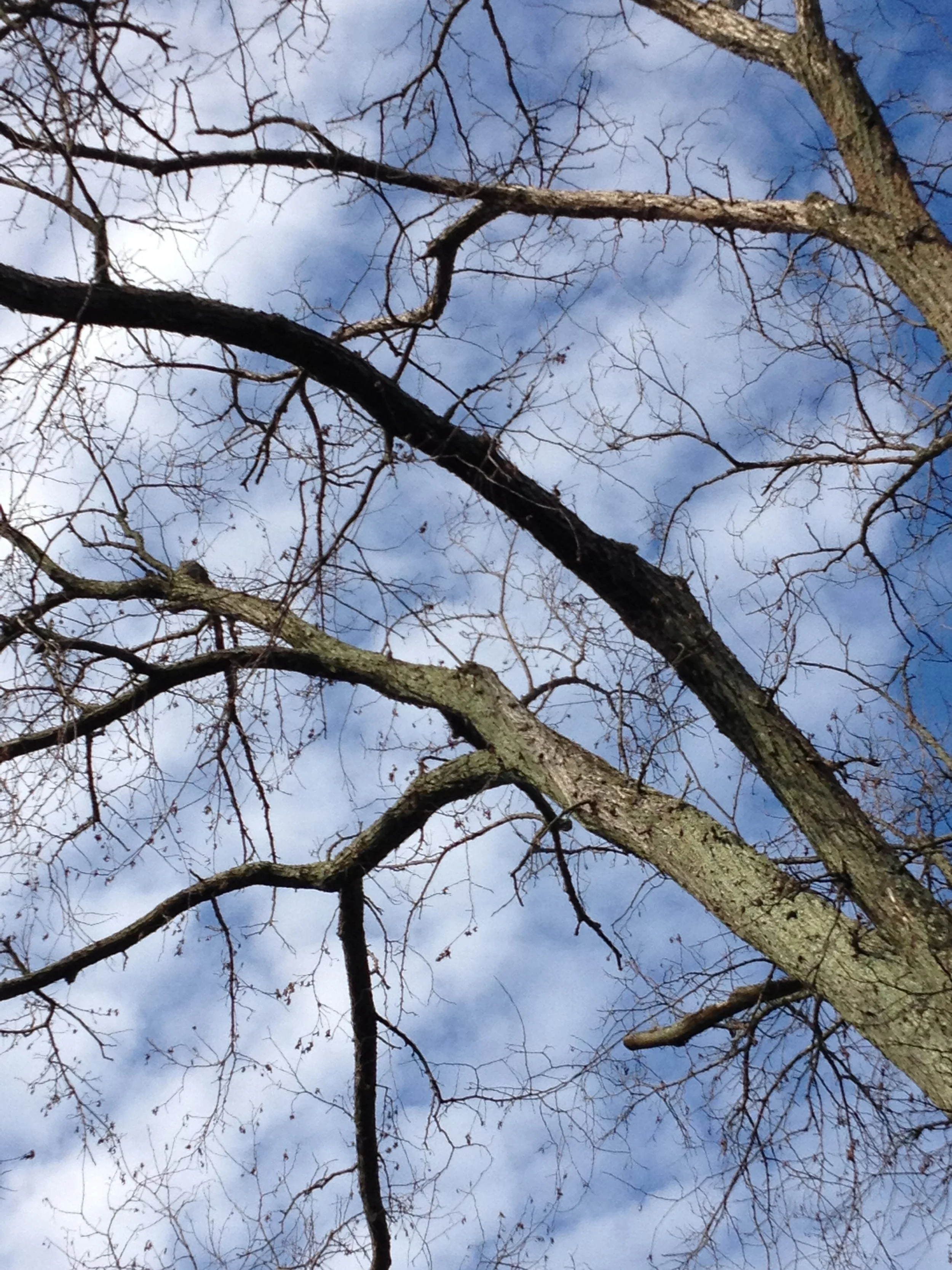 CT Organizations to Receive Gun Violence Prevention Grants