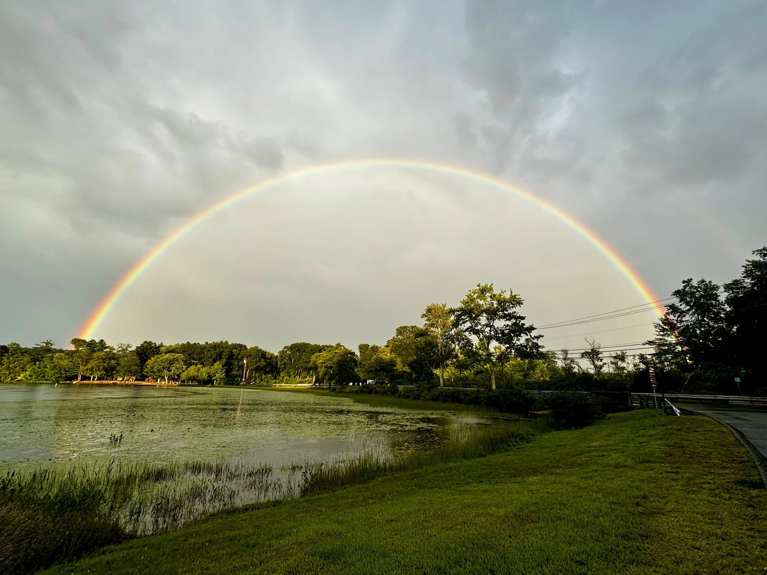 (c) abigail bowden 2024 - Sept 5.jpg