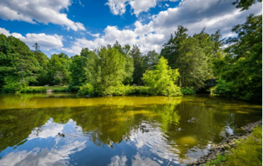 West Hartford, Hartford, Essex Ranked Top Communities for "Livability" by AARP