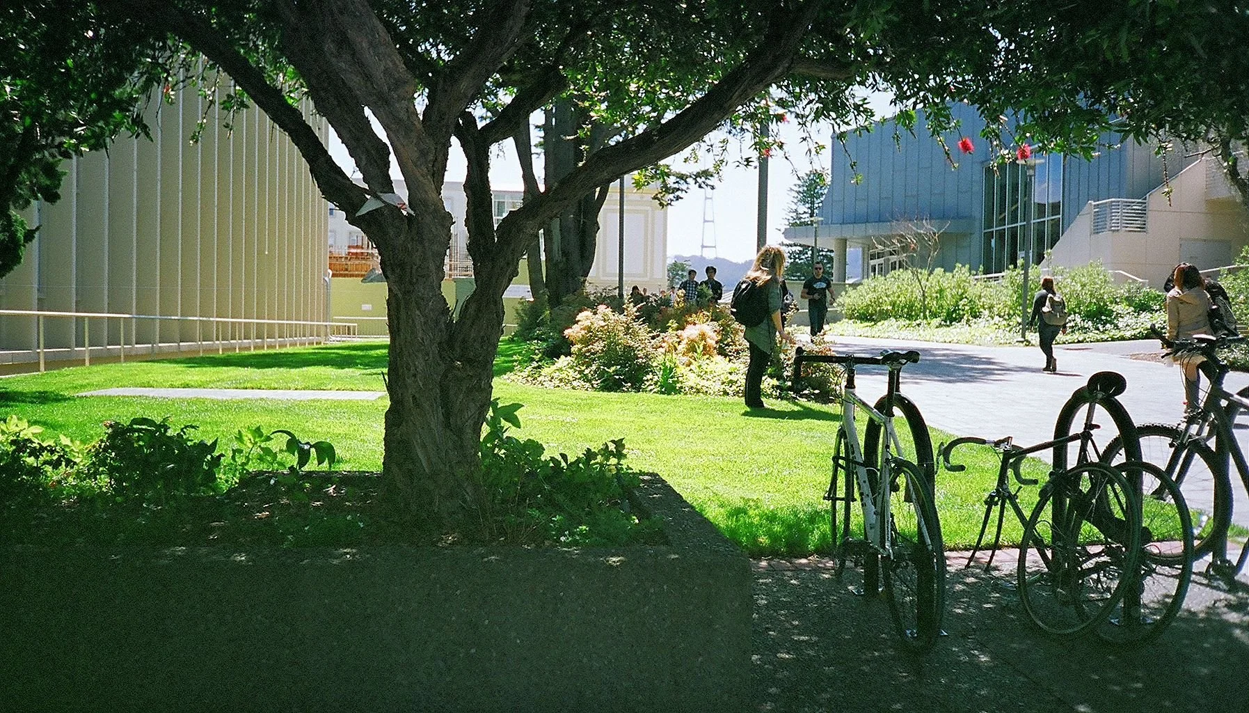  Connecticut Green Bank Awards Local Projects, Partners, Community Leaders 