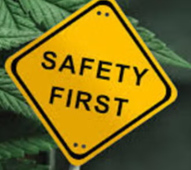 Unchecked Hemp Products Need Strong Oversight To Protect Public Health 