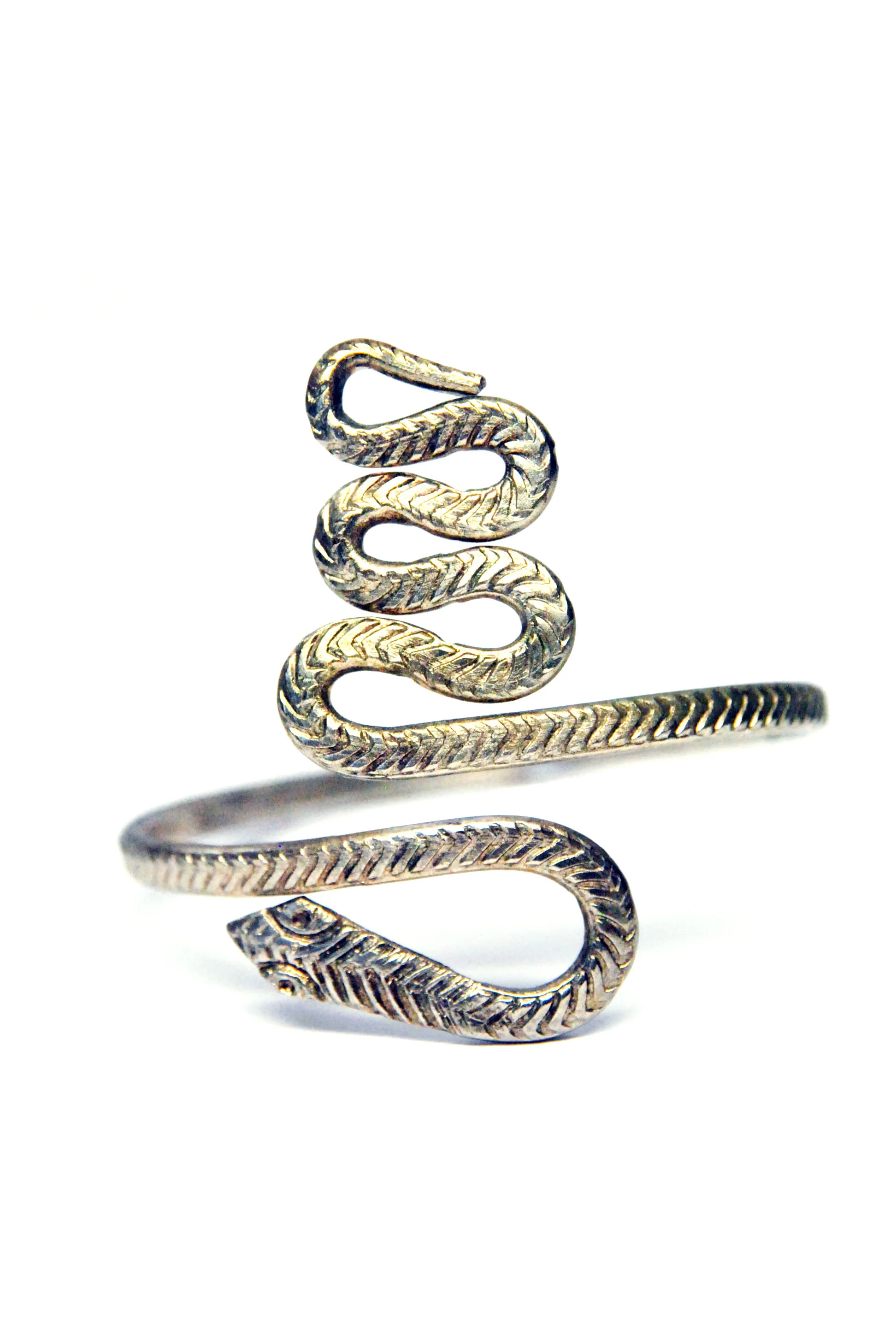 snakearm.jpg