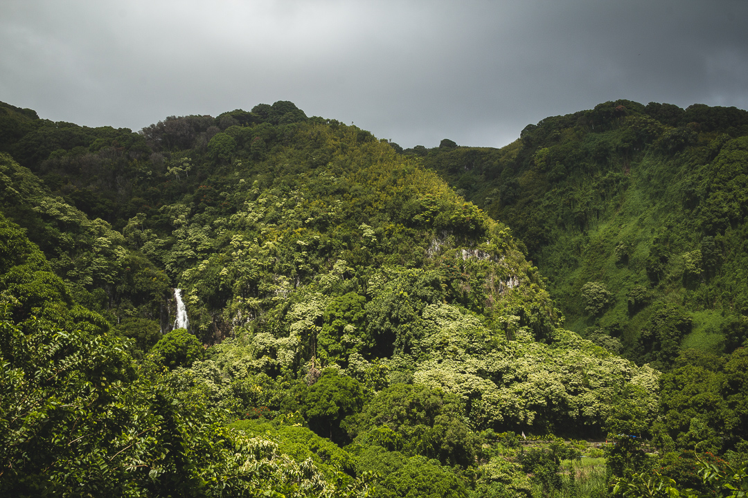 Chapter 13 - La Vie Poema