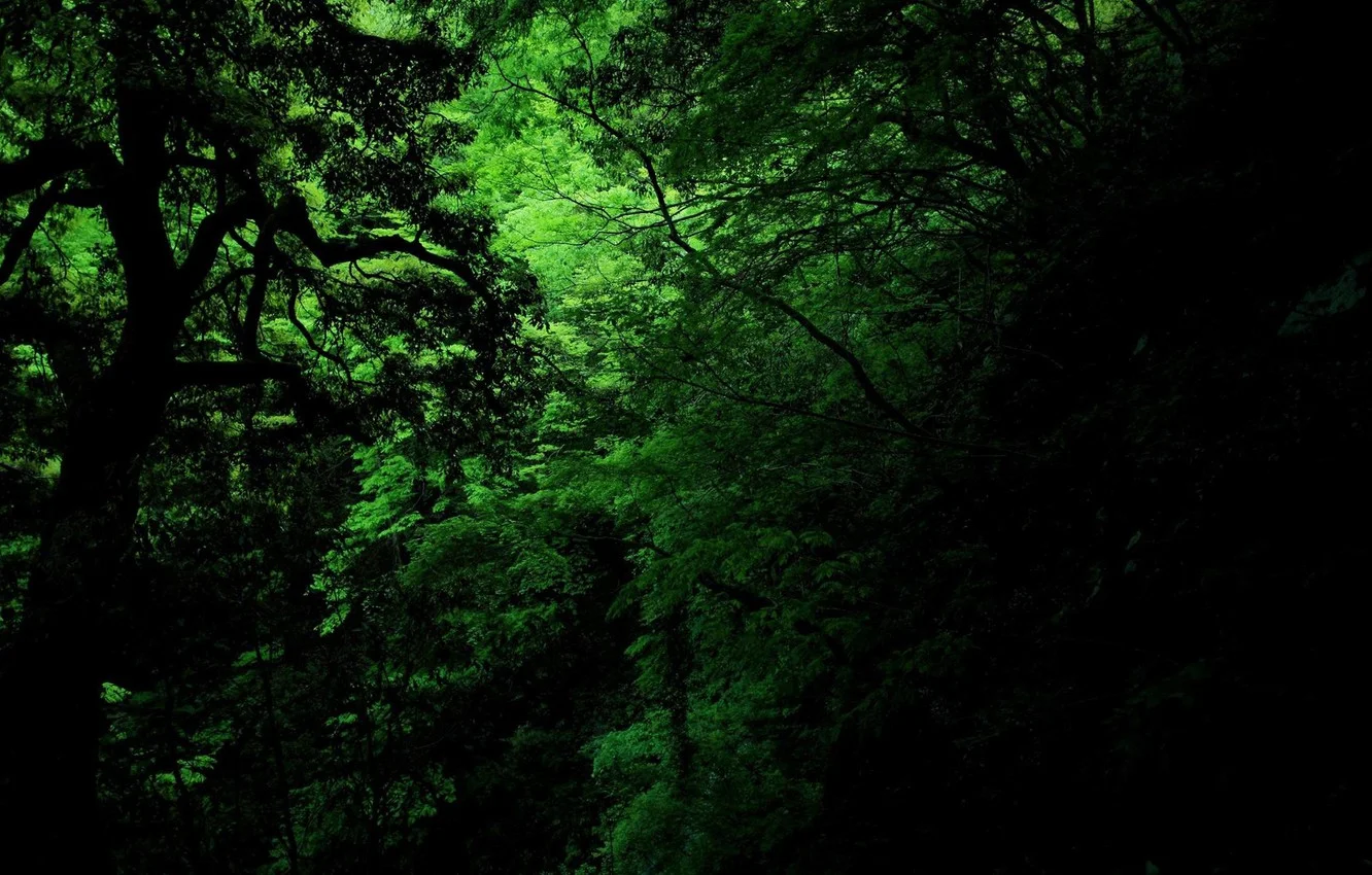 Chapter 24 - Heart of Darkness