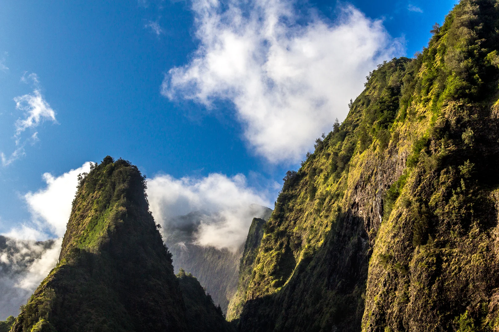 Chapter 29 - Have A Great Summer