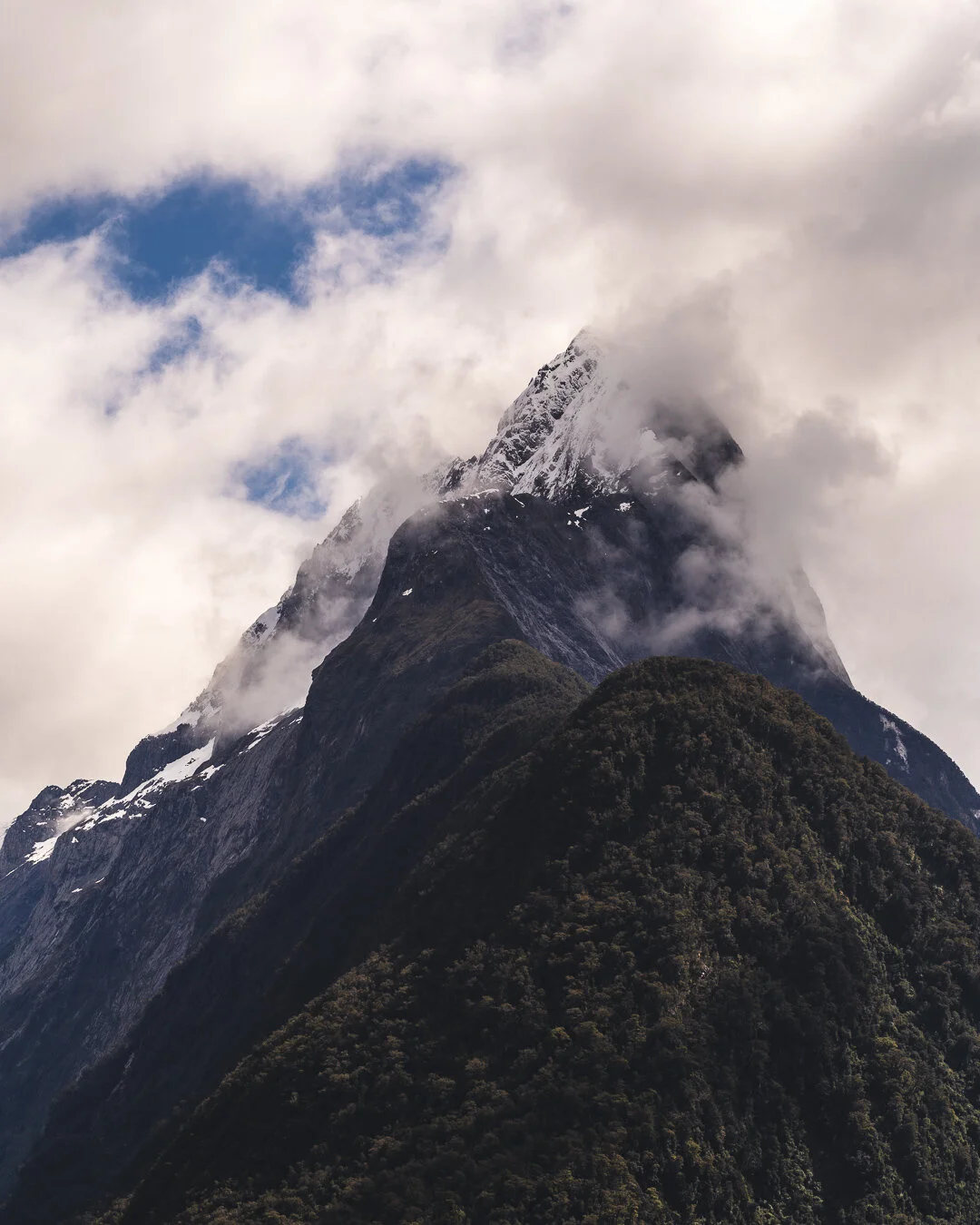 Chapter 37 - Kaida Maroun, Gingko Spirit