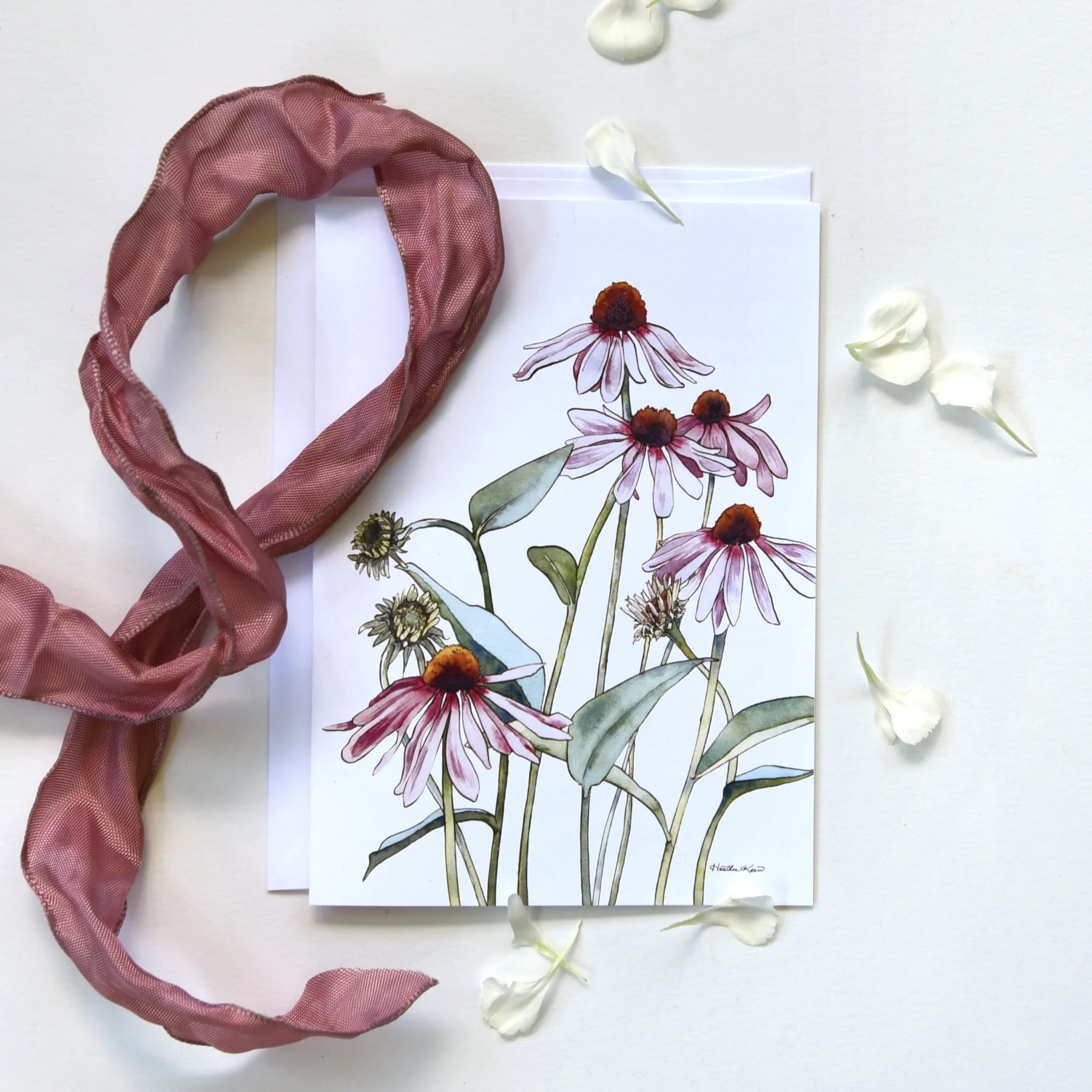 Coneflower-flat-lay.jpg