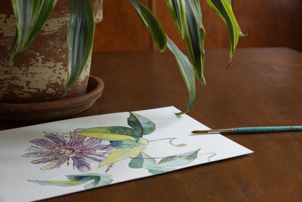 Passionflowerbypot.jpg