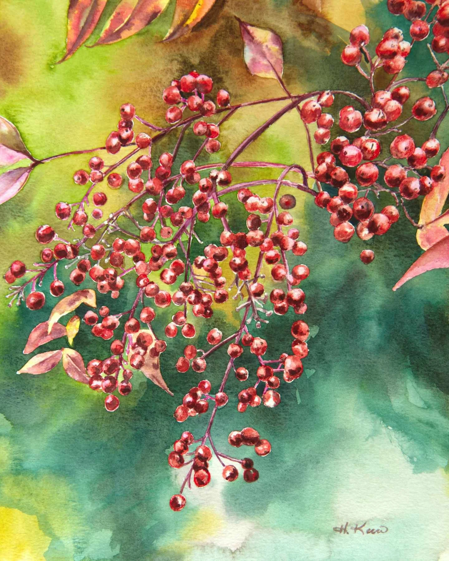 "Heavenly Bamboo Berries" Watercolor Print