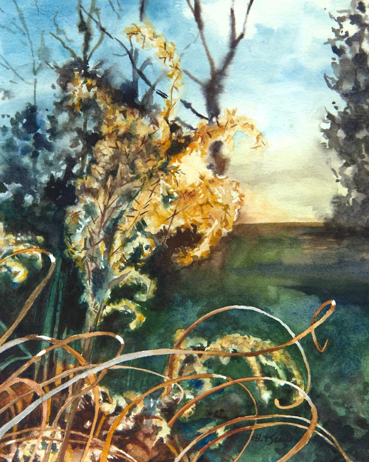 "Star Magnolia" Watercolor Print (Copy)
