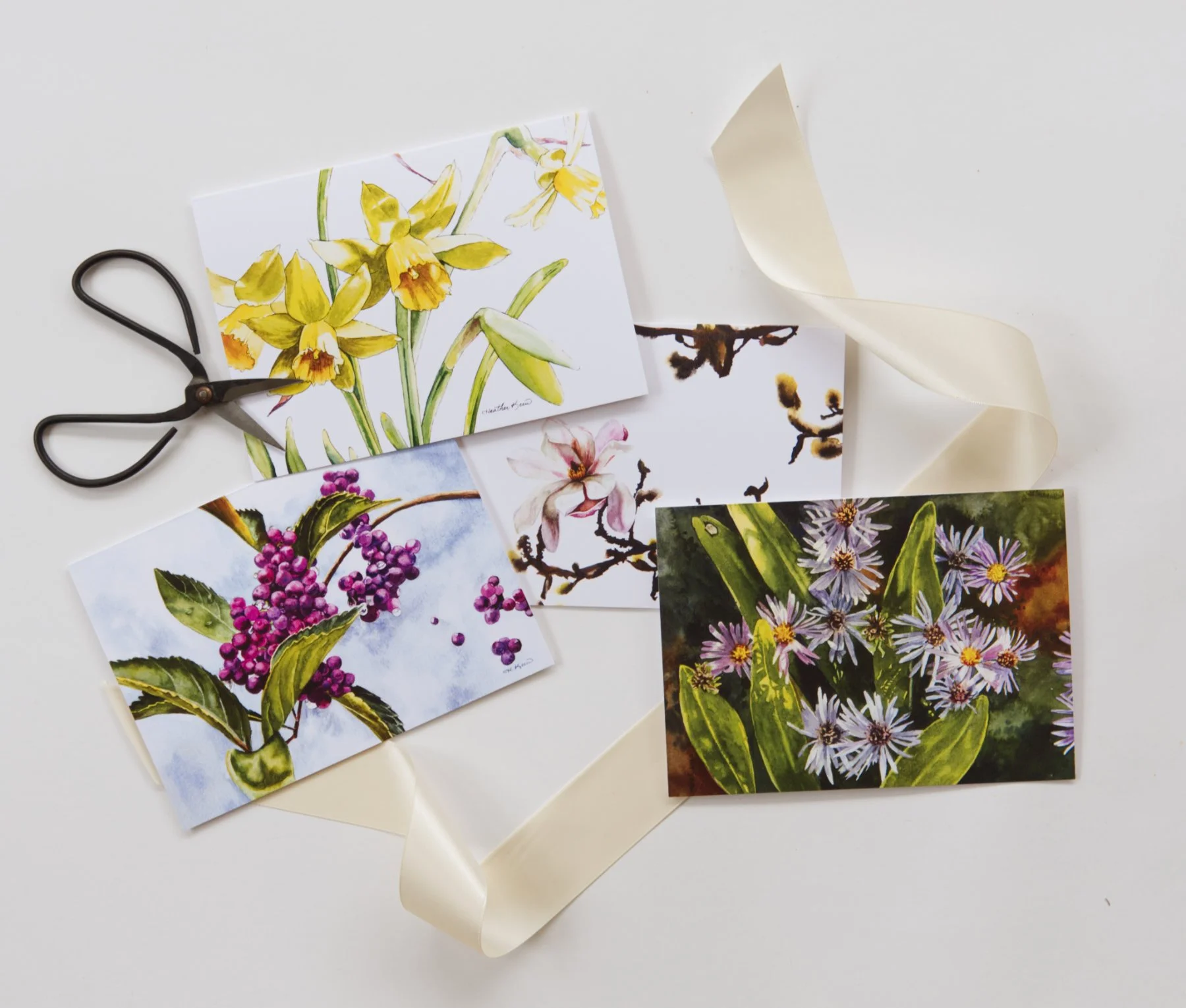 card-pack-asters.jpg