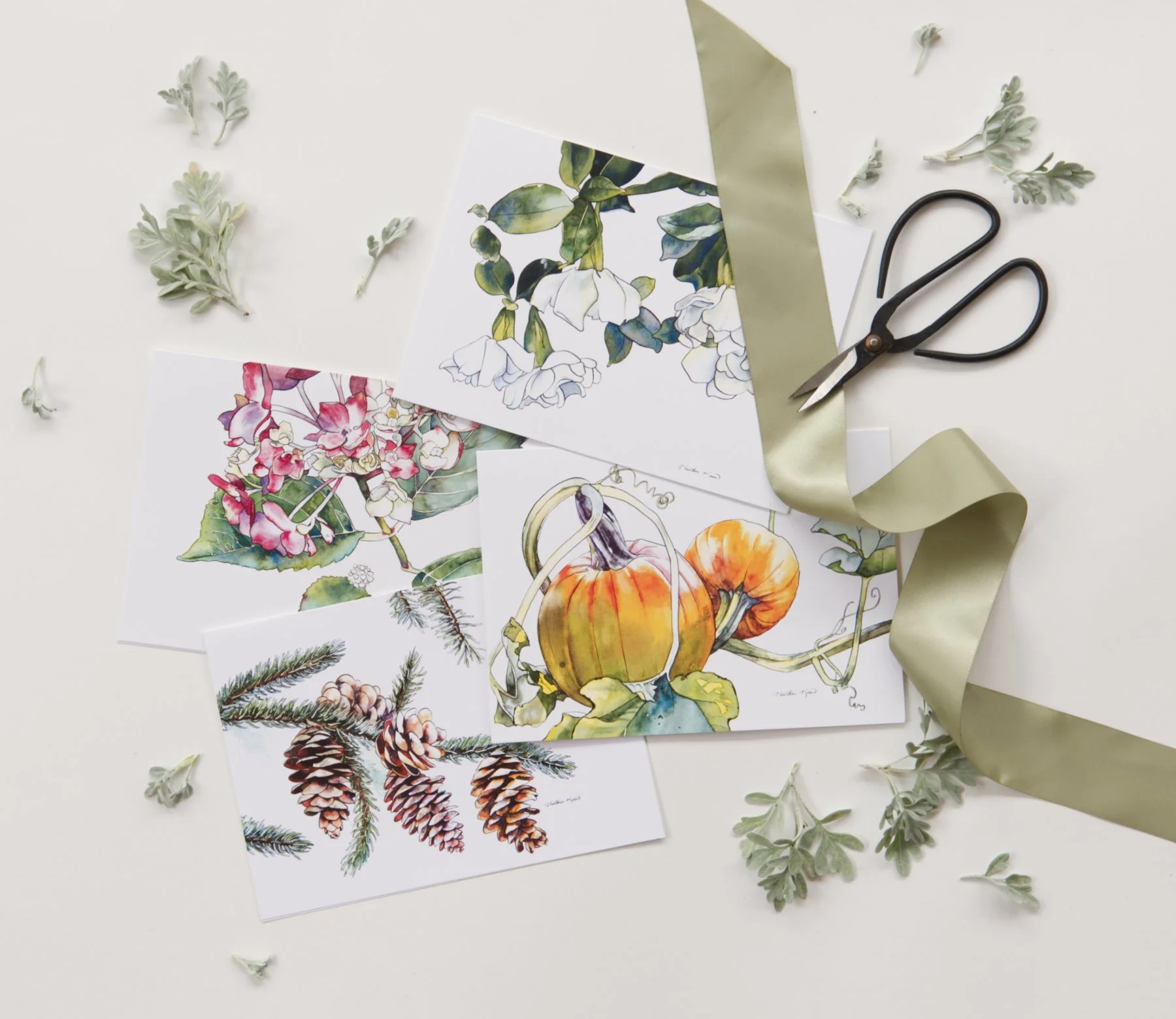 Botanical Greeting Card 4-Variety Pack