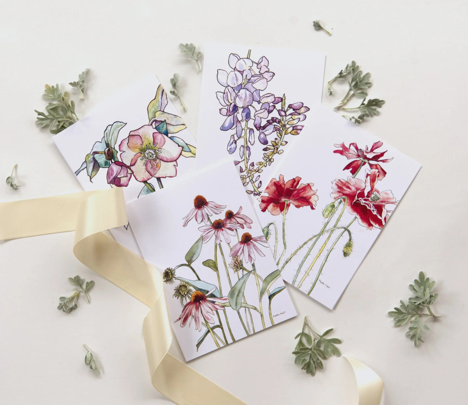 card-pack-wisteria.jpg