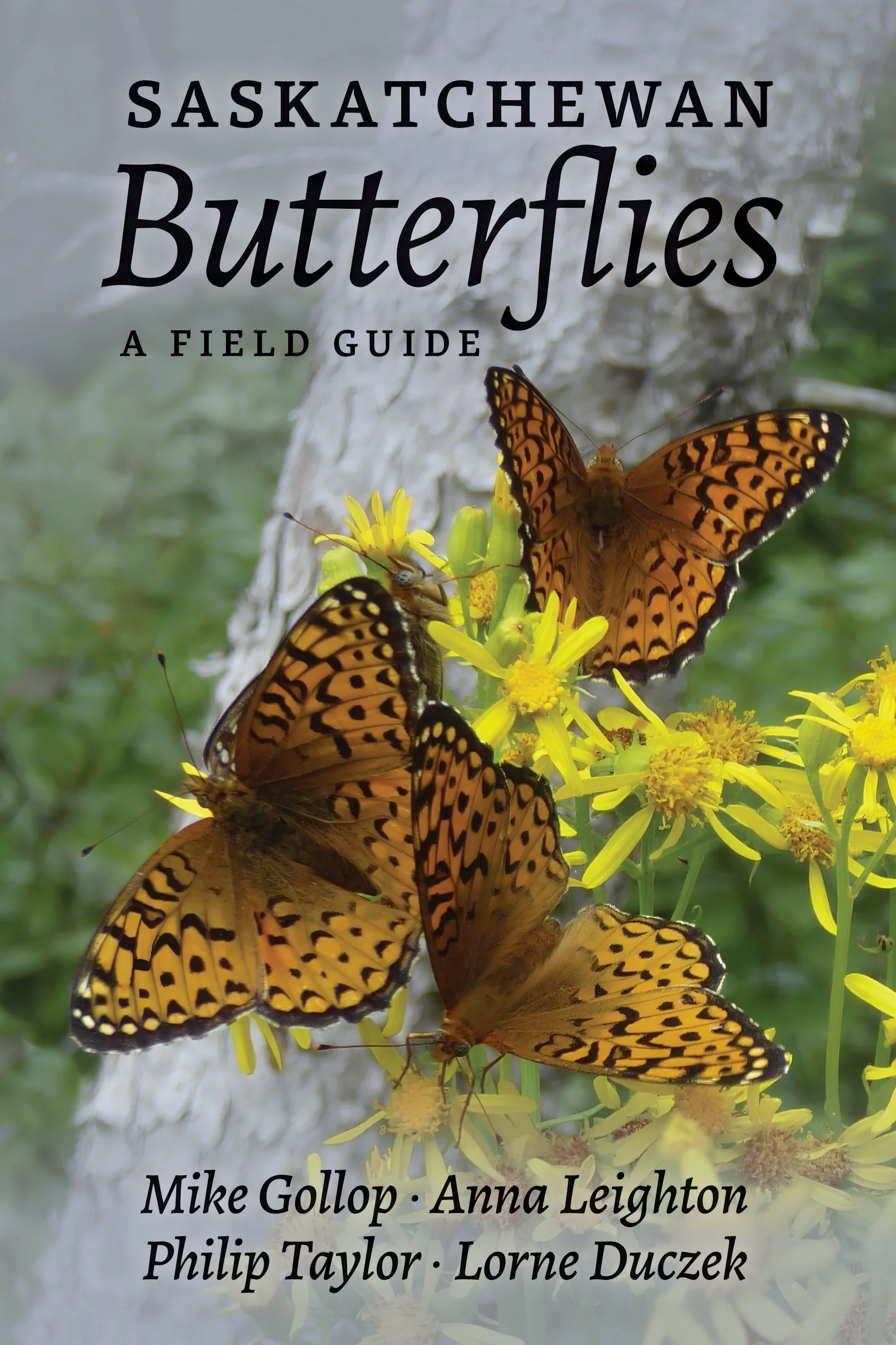 NS - Butterflies cover-final.jpg