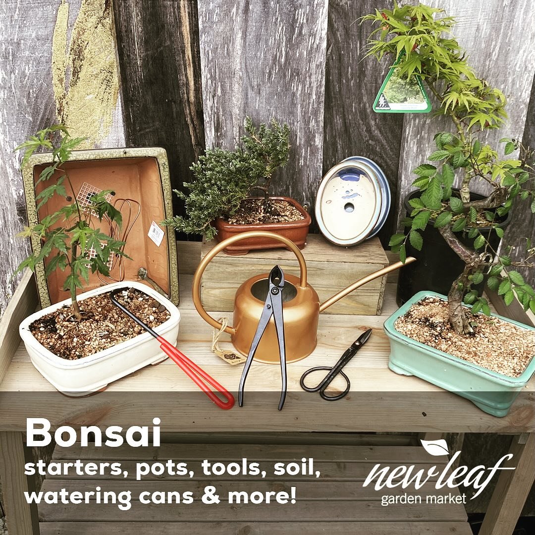 Tell all your Bonsai people!