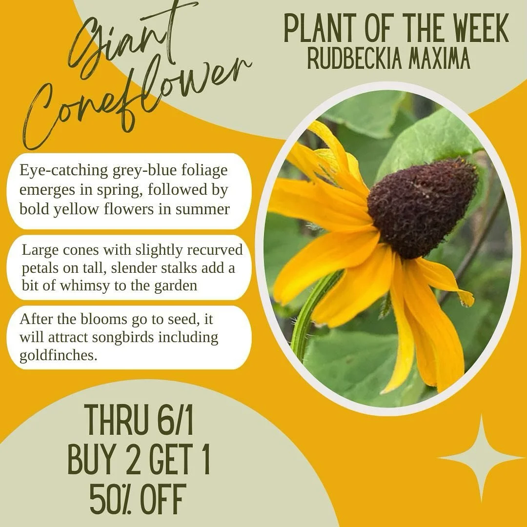 Social Media — New Leaf Garden Market